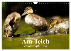 Am Teich. Zauberhafte Welt (Wandkalender 2025 DIN A4 quer), CALVENDO Monatskalender