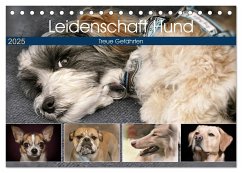 Leidenschaft Hund (Tischkalender 2025 DIN A5 quer), CALVENDO Monatskalender