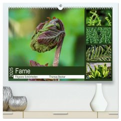 Farne - Filigrane Schönheiten (hochwertiger Premium Wandkalender 2025 DIN A2 quer), Kunstdruck in Hochglanz
