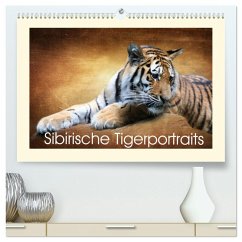 Sibirische Tigerportraits (hochwertiger Premium Wandkalender 2025 DIN A2 quer), Kunstdruck in Hochglanz