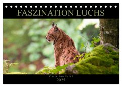 Faszination Luchs (Tischkalender 2025 DIN A5 quer), CALVENDO Monatskalender