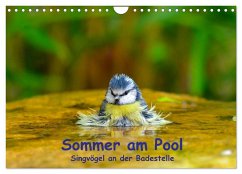 Sommer am Pool - Singvögel an der Badestelle (Wandkalender 2025 DIN A4 quer), CALVENDO Monatskalender