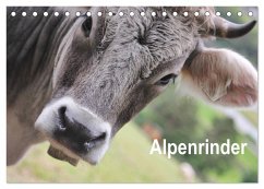 Alpenrinder (Tischkalender 2025 DIN A5 quer), CALVENDO Monatskalender