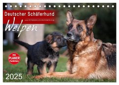 Deutscher Schäferhund - Welpen (Tischkalender 2025 DIN A5 quer), CALVENDO Monatskalender - Calvendo;Schiller, Petra