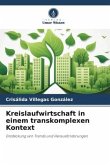 Kreislaufwirtschaft in einem transkomplexen Kontext