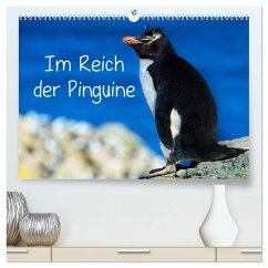 Im Reich der Pinguine (hochwertiger Premium Wandkalender 2025 DIN A2 quer), Kunstdruck in Hochglanz