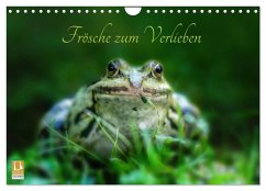 Frösche zum Verlieben (Wandkalender 2025 DIN A4 quer), CALVENDO Monatskalender