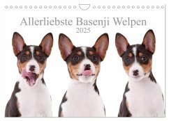 Allerliebste Basenji Welpen 2025 (Wandkalender 2025 DIN A4 quer), CALVENDO Monatskalender - Calvendo;Joswig, Angelika