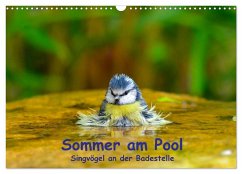 Sommer am Pool - Singvögel an der Badestelle (Wandkalender 2025 DIN A3 quer), CALVENDO Monatskalender