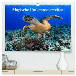 Magische Unterwasserwelten (hochwertiger Premium Wandkalender 2025 DIN A2 quer), Kunstdruck in Hochglanz - Calvendo;Hablützel, Martin