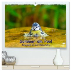 Sommer am Pool - Singvögel an der Badestelle (hochwertiger Premium Wandkalender 2025 DIN A2 quer), Kunstdruck in Hochglanz - Calvendo;Plemper, Ulrich