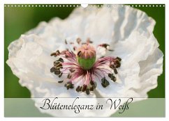 Blüteneleganz in Weiß (Wandkalender 2025 DIN A3 quer), CALVENDO Monatskalender - Calvendo;Kruse, Gisela