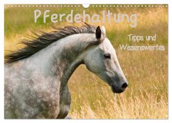Pferdehaltung Tipps und Wissenswertes (Wandkalender 2025 DIN A3 quer), CALVENDO Monatskalender - Calvendo;Bölts, Meike