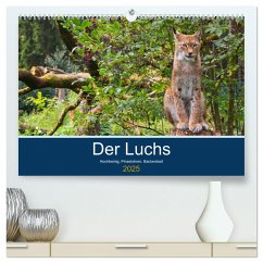 Der Luchs - Hochbeinig, Pinselohren, Backenbart (hochwertiger Premium Wandkalender 2025 DIN A2 quer), Kunstdruck in Hochglanz
