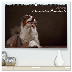 Charmante Australian Shepherds (hochwertiger Premium Wandkalender 2025 DIN A2 quer), Kunstdruck in Hochglanz