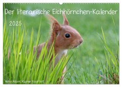 Der literarische Eichhörnchen-Kalender (Wandkalender 2025 DIN A2 quer), CALVENDO Monatskalender