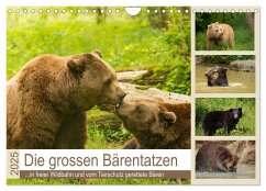 Die grossen Bärentatzen (Wandkalender 2025 DIN A4 quer), CALVENDO Monatskalender