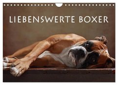 Liebenswerte Boxer (Wandkalender 2025 DIN A4 quer), CALVENDO Monatskalender - Calvendo;Behr, Jana