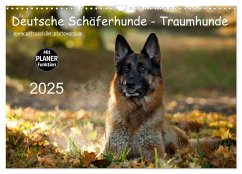 Deutsche Schäferhunde - Traumhunde (Wandkalender 2025 DIN A3 quer), CALVENDO Monatskalender - Calvendo;Schiller, Petra