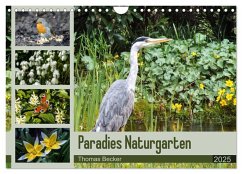 Paradies Naturgarten (Wandkalender 2025 DIN A4 quer), CALVENDO Monatskalender - Calvendo;Becker, Thomas