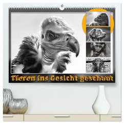 Tieren ins Gesicht geschaut (hochwertiger Premium Wandkalender 2025 DIN A2 quer), Kunstdruck in Hochglanz