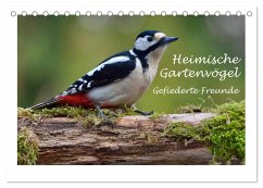 Heimische Gartenvögel - Gefiederte Freunde (Tischkalender 2025 DIN A5 quer), CALVENDO Monatskalender - Calvendo;Wilczek, Dieter