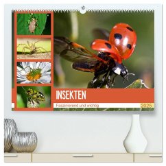 Insekten. Faszinierend und wichtig (hochwertiger Premium Wandkalender 2025 DIN A2 quer), Kunstdruck in Hochglanz
