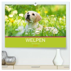 Welpen im Frühling (hochwertiger Premium Wandkalender 2025 DIN A2 quer), Kunstdruck in Hochglanz