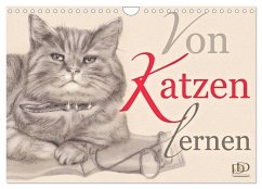 Von Katzen lernen (Wandkalender 2025 DIN A4 quer), CALVENDO Monatskalender