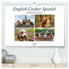 English Cocker Spaniel - Fröhliche Gesellen (hochwertiger Premium Wandkalender 2025 DIN A2 quer), Kunstdruck in Hochglanz