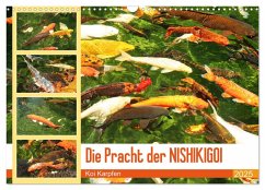 Die Pracht der NISHIKIGOI - Koi Karpfen (Wandkalender 2025 DIN A3 quer), CALVENDO Monatskalender