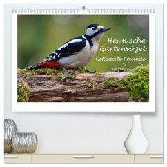 Heimische Gartenvögel - Gefiederte Freunde (hochwertiger Premium Wandkalender 2025 DIN A2 quer), Kunstdruck in Hochglanz - Calvendo;Wilczek, Dieter