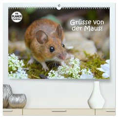 Grüsse von der Maus! (hochwertiger Premium Wandkalender 2025 DIN A2 quer), Kunstdruck in Hochglanz
