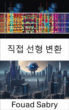 직접 선형 변환 (eBook, ePUB) - Sabry, Fouad