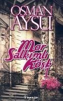 Mor Salkimli Kösk - Aysu, Osman