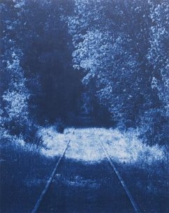 Cover Ecstatic Nature