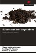 Substrates for Vegetables - Bild 1
