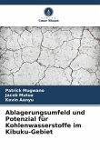 Ablagerungsumfeld und Potenzial für Kohlenwasserstoffe im Kibuku-Gebiet