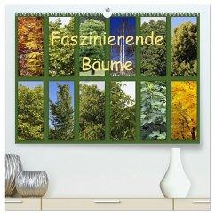 Faszinierende Bäume (hochwertiger Premium Wandkalender 2025 DIN A2 quer), Kunstdruck in Hochglanz