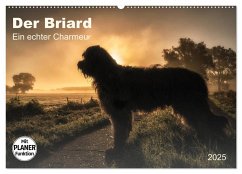 Der Briard 2025 - Ein echter Charmeur (Wandkalender 2025 DIN A2 quer), CALVENDO Monatskalender