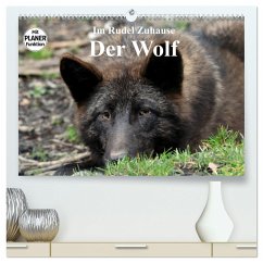 Im Rudel Zuhause - Der Wolf (hochwertiger Premium Wandkalender 2025 DIN A2 quer), Kunstdruck in Hochglanz