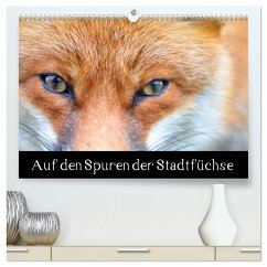 Auf den Spuren der Stadtfüchse (hochwertiger Premium Wandkalender 2025 DIN A2 quer), Kunstdruck in Hochglanz