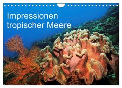 Impressionen tropischer Meere (Wandkalender 2025 DIN A4 quer), CALVENDO Monatskalender - Calvendo;Rauchenwald, Martin