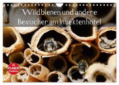 Wildbienen und andere Besucher am Insektenhotel (Wandkalender 2025 DIN A4 quer), CALVENDO Monatskalender - Calvendo;Frost, Anja