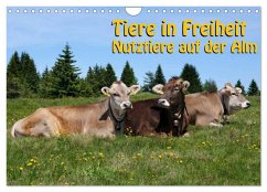 Tiere in Freiheit - Nutztiere auf der Alm (Wandkalender 2025 DIN A4 quer), CALVENDO Monatskalender