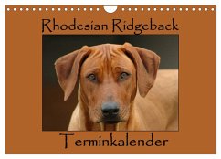 Rhodesian Ridgeback Terminkalender (Wandkalender 2025 DIN A4 quer), CALVENDO Monatskalender - Calvendo;van Wyk - www.germanpix.net, Anke