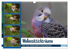 Wellensittichträume - Der neue Wellensittich-Naturkalender (Wandkalender 2025 DIN A3 quer), CALVENDO Monatskalender - Calvendo;Bergmann, Björn