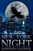 New York Night (The 7th Jack Nightingale Novel) (eBook, ePUB)