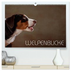 Welpenblicke (hochwertiger Premium Wandkalender 2025 DIN A2 quer), Kunstdruck in Hochglanz - Calvendo;Behr, Jana