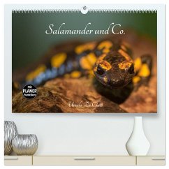 Salamander und Co. (hochwertiger Premium Wandkalender 2025 DIN A2 quer), Kunstdruck in Hochglanz